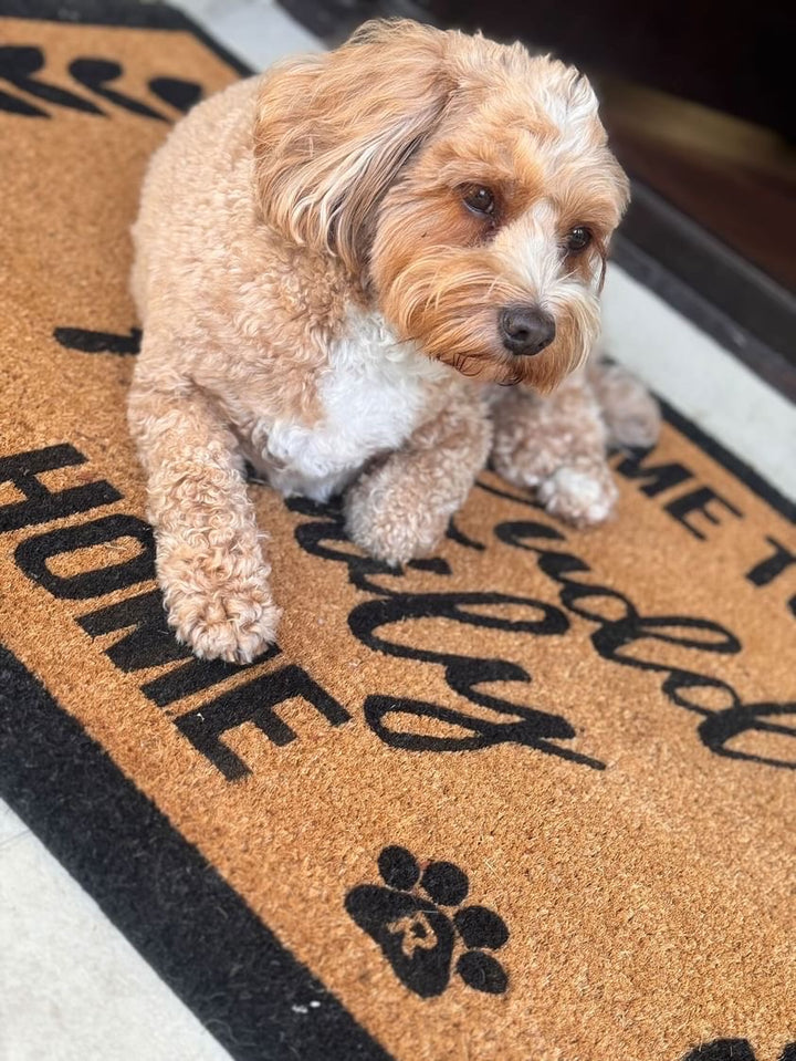 Design Your Own Doormat - Pet Edition