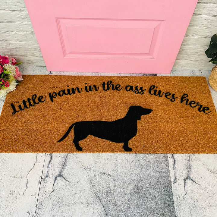 Design Your Own Doormat - Pet Edition