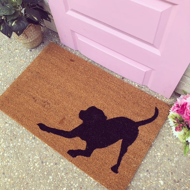 Doormat for dog owners best sale