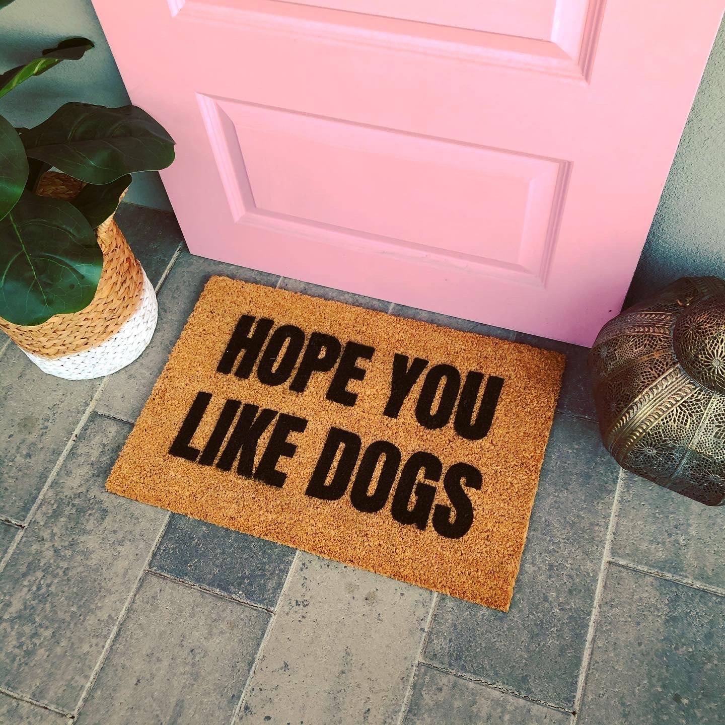 Hop You Like Dogs Doormat Hope You Like Kids Funny Doormat Door Mat Walk All Over Me